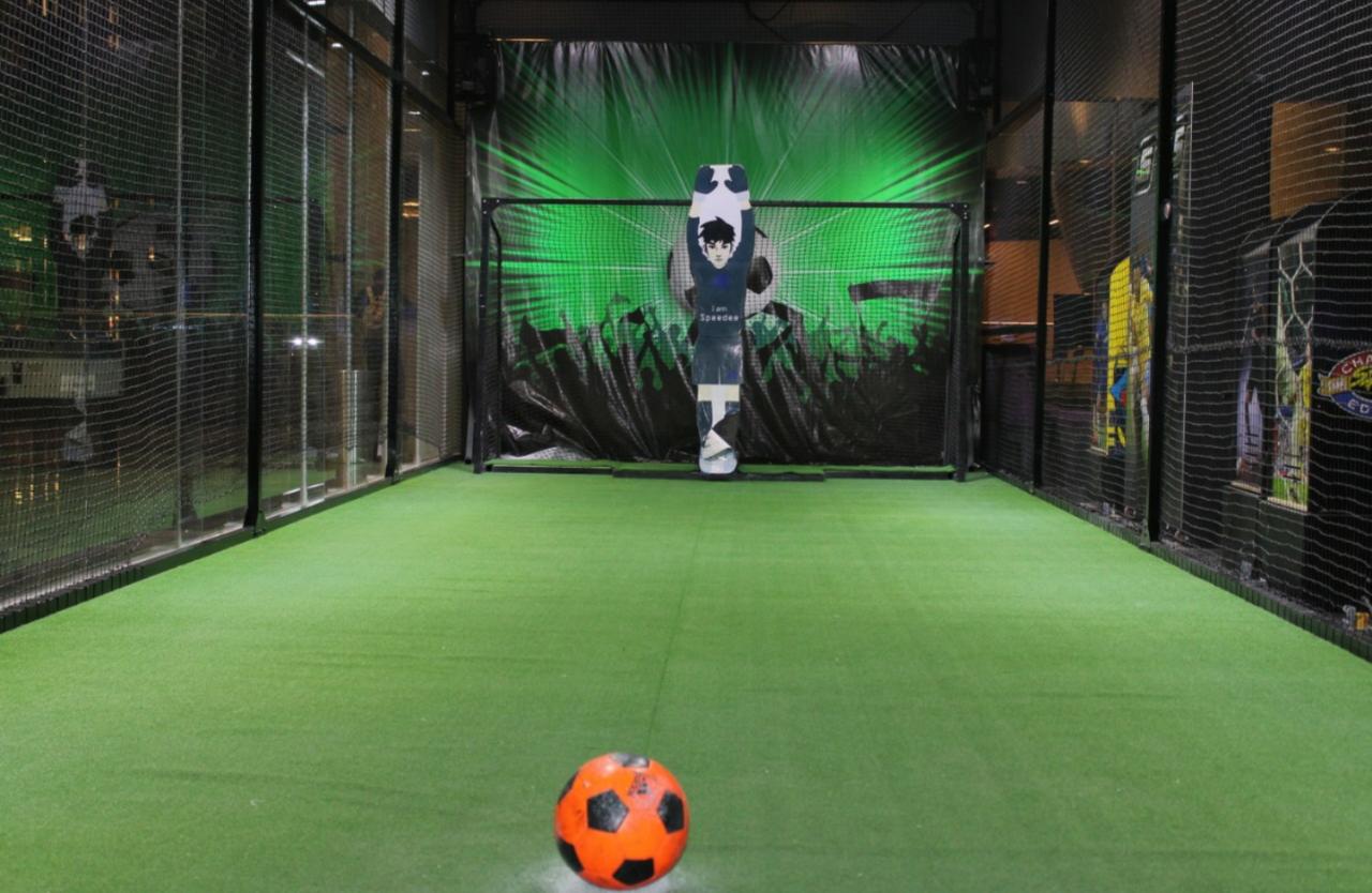 iRoboGoalie(Robot Goalkeeper) at Mexico.